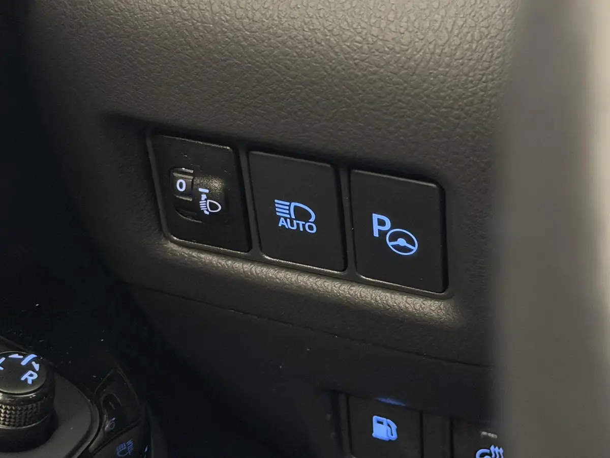 2.0 Hybrid Dynamic | Winterpakket | Camera | PDC | Carplay | All-Season | LED ( Vestiging - Vianen)