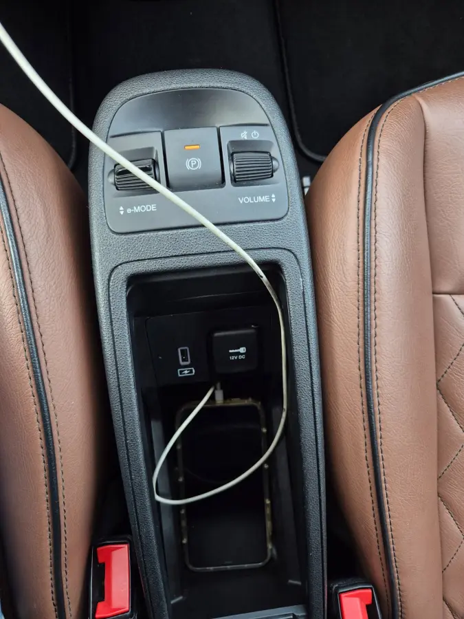 42 kWh Top SoH 93% CarPlay Special Edition Amaretto Rund Leder interieur 2e Eig NAP