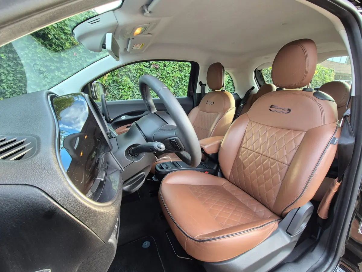 42 kWh Top SoH 93% CarPlay Special Edition Amaretto Rund Leder interieur 2e Eig NAP