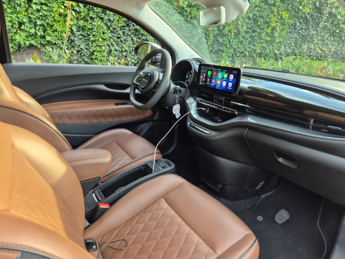 42 kWh Top SoH 93% CarPlay Special Edition Amaretto Rund Leder interieur 2e Eig NAP