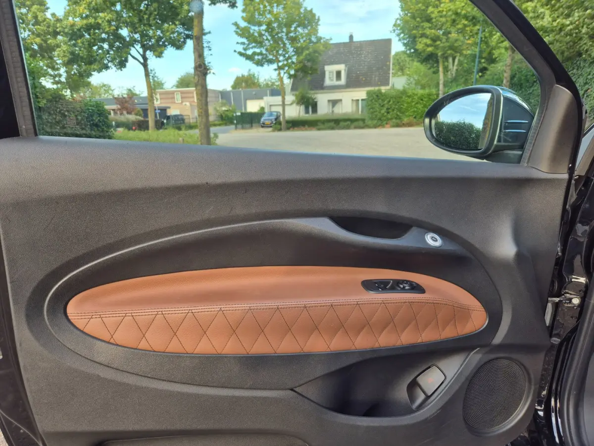 42 kWh Top SoH 93% CarPlay Special Edition Amaretto Rund Leder interieur 2e Eig NAP