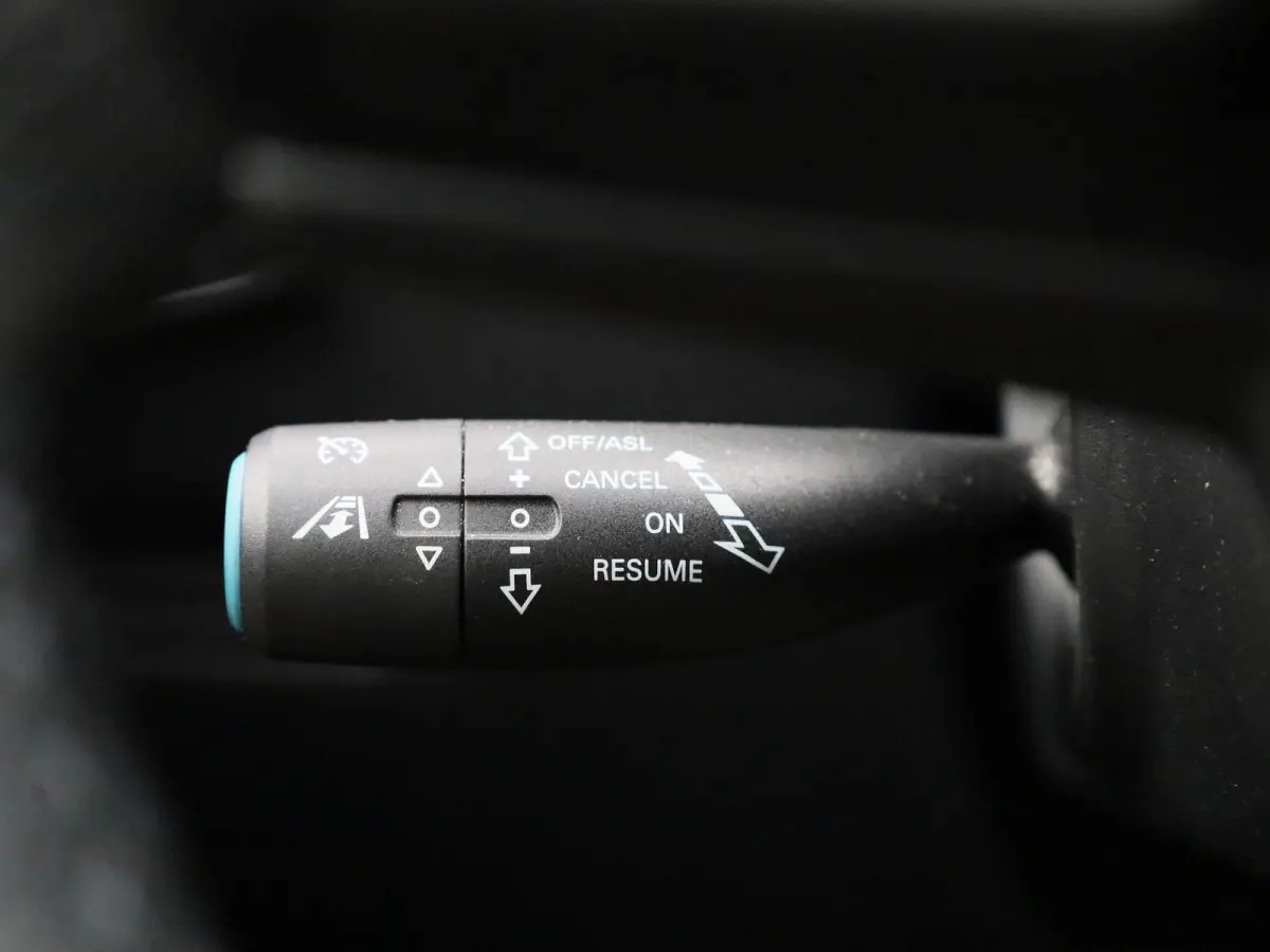 Luxury 45 kWh | Panoramadak | Leder | Apple Carplay - Android Auto | Stoelverwarming | Camera |