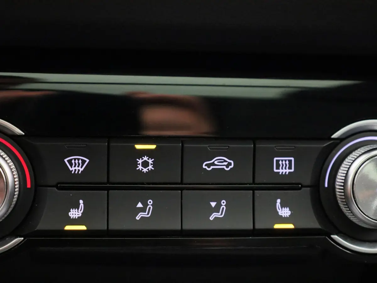 Luxury 45 kWh | Panoramadak | Leder | Apple Carplay - Android Auto | Stoelverwarming | Camera |