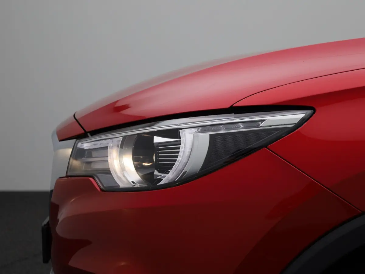 Luxury 45 kWh | Panoramadak | Leder | Apple Carplay - Android Auto | Stoelverwarming | Camera |