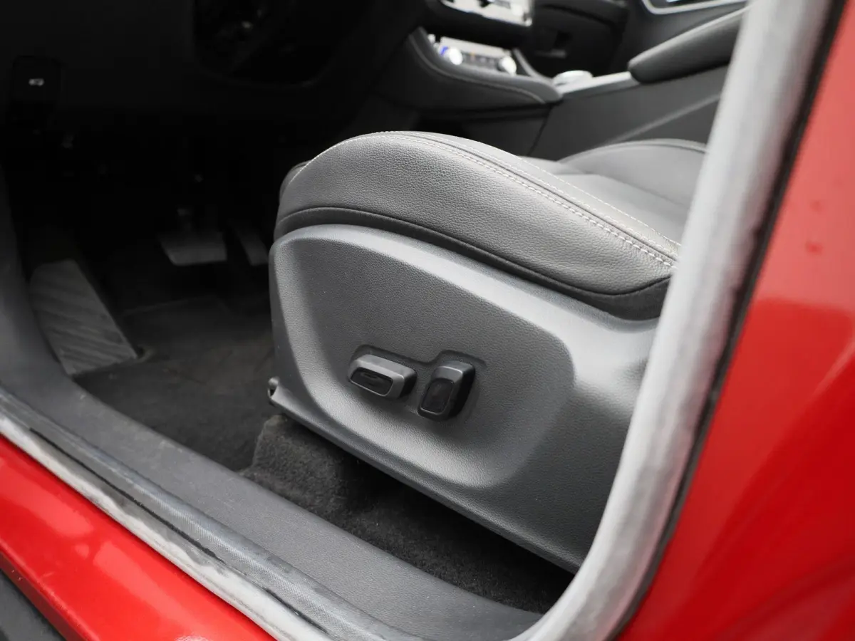 Luxury 45 kWh | Panoramadak | Leder | Apple Carplay - Android Auto | Stoelverwarming | Camera |