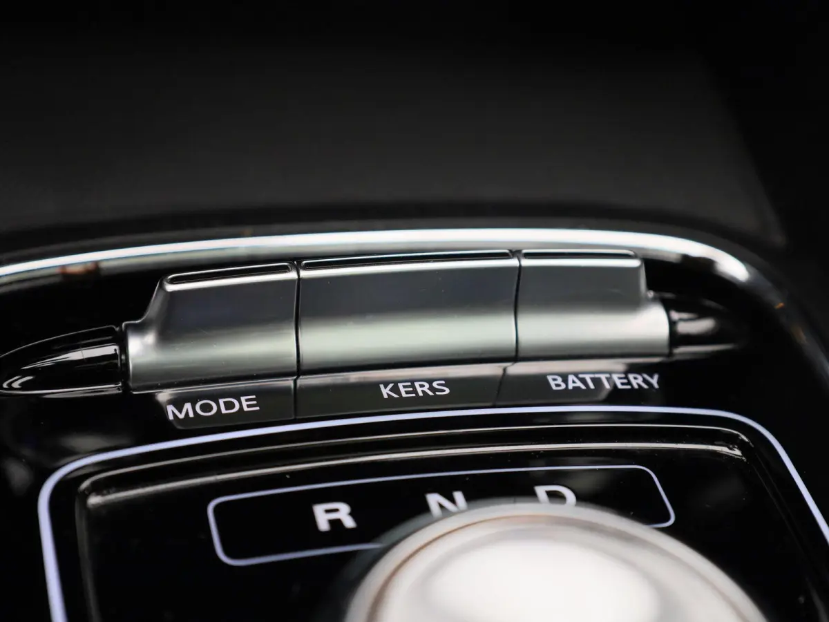 Luxury 45 kWh | Panoramadak | Leder | Apple Carplay - Android Auto | Stoelverwarming | Camera |