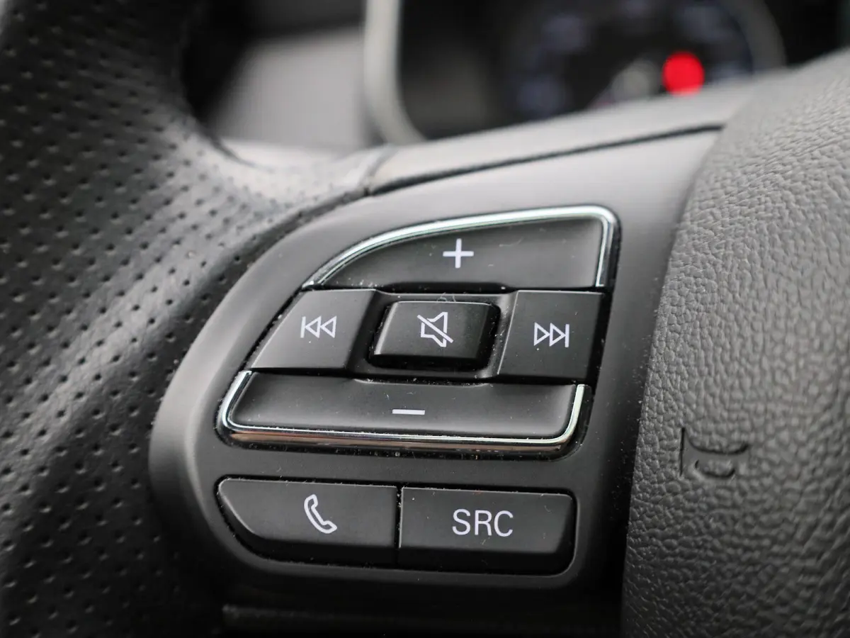 Luxury 45 kWh | Panoramadak | Leder | Apple Carplay - Android Auto | Stoelverwarming | Camera |