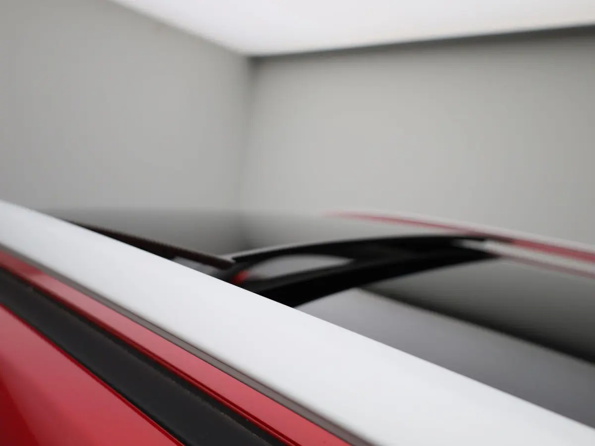 Luxury 45 kWh | Panoramadak | Leder | Apple Carplay - Android Auto | Stoelverwarming | Camera |