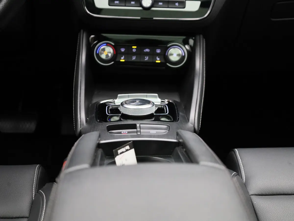 Luxury 45 kWh | Panoramadak | Leder | Apple Carplay - Android Auto | Stoelverwarming | Camera |
