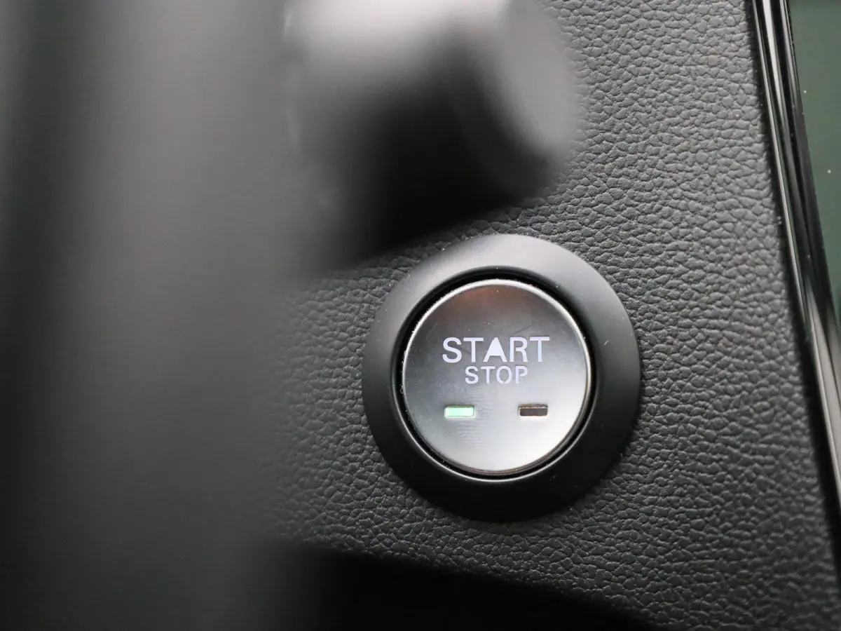 Luxury 45 kWh | Panoramadak | Leder | Apple Carplay - Android Auto | Stoelverwarming | Camera |