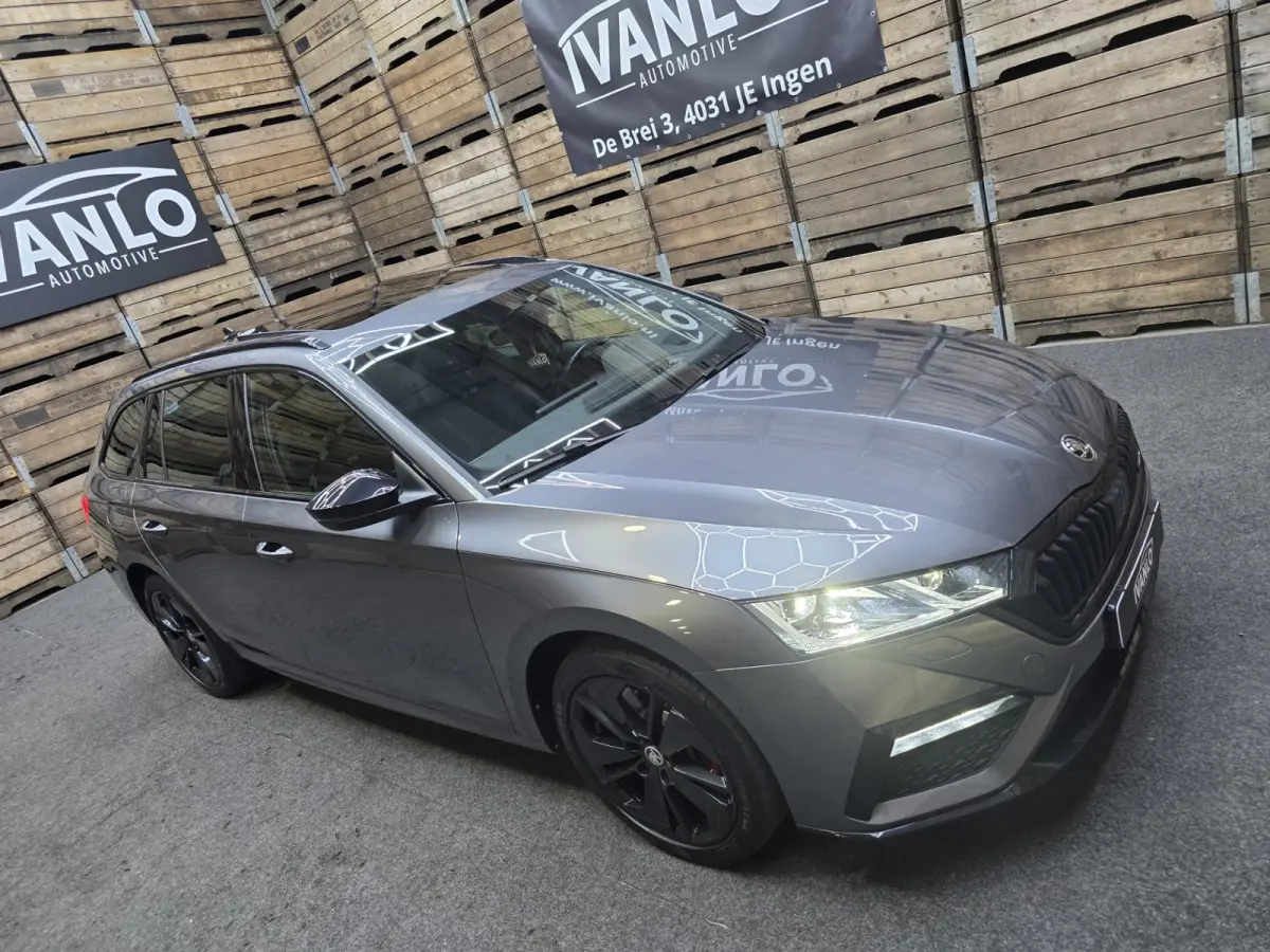 1.4 TSI RS iV PHEV Business Pano HUD Navi Clima 18"LM