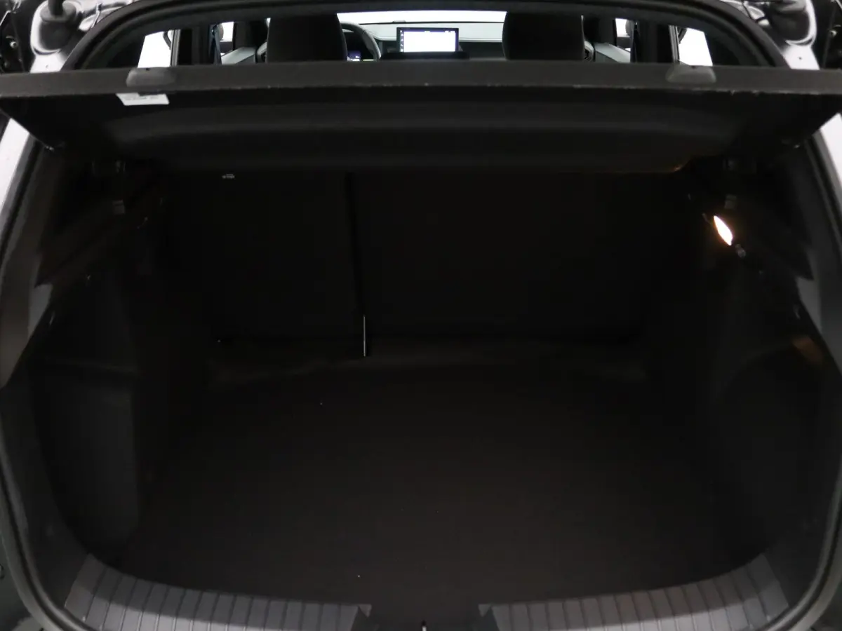 155pk hybrid extreme Apple Carplay/Android Auto | Climate