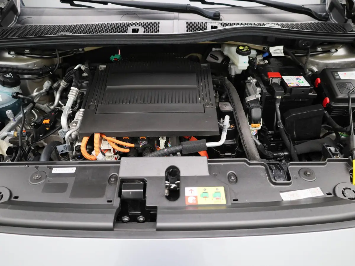 EV Active Pack 50 kWh | Navigatie | Apple Carplay | Cruise Control | PDC | DAB+ | Keyless |