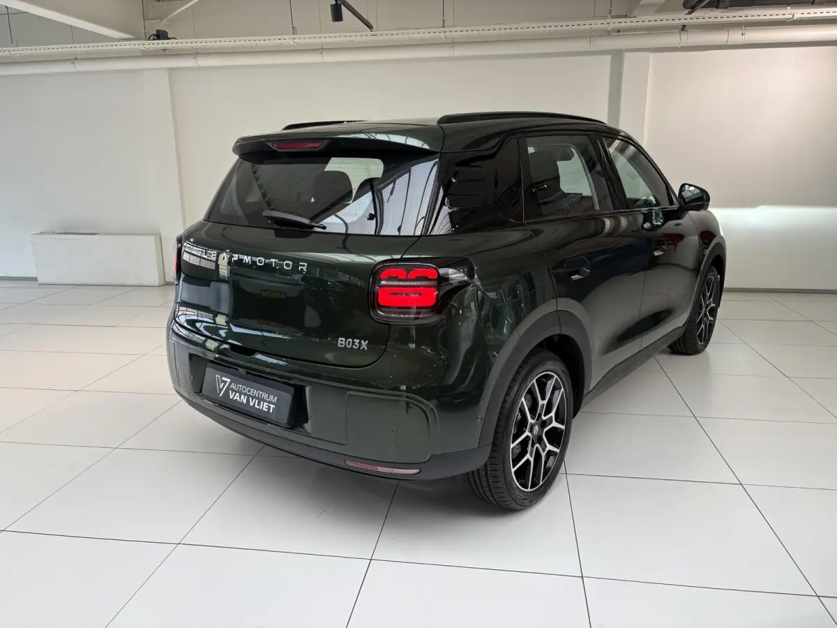 ProMax Design 53 kWh Voorraad | Apple Carplay/Android Auto | Camera