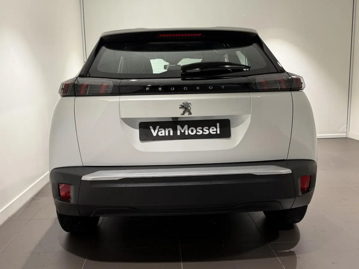 EV Active 50 kWh | Camera Achter | Navigatie | Apple Carplay \ Android Auto |