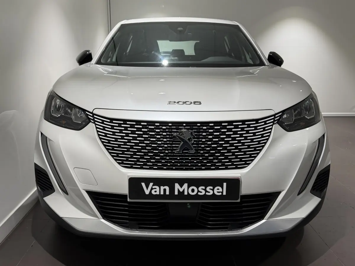 EV Active 50 kWh | Camera Achter | Navigatie | Apple Carplay \ Android Auto |