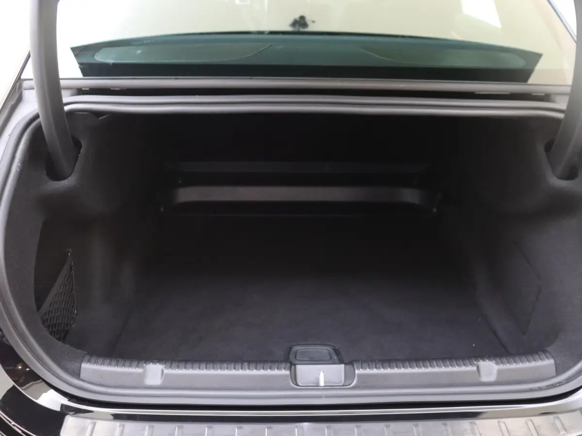 300 Business Line 89 kWh