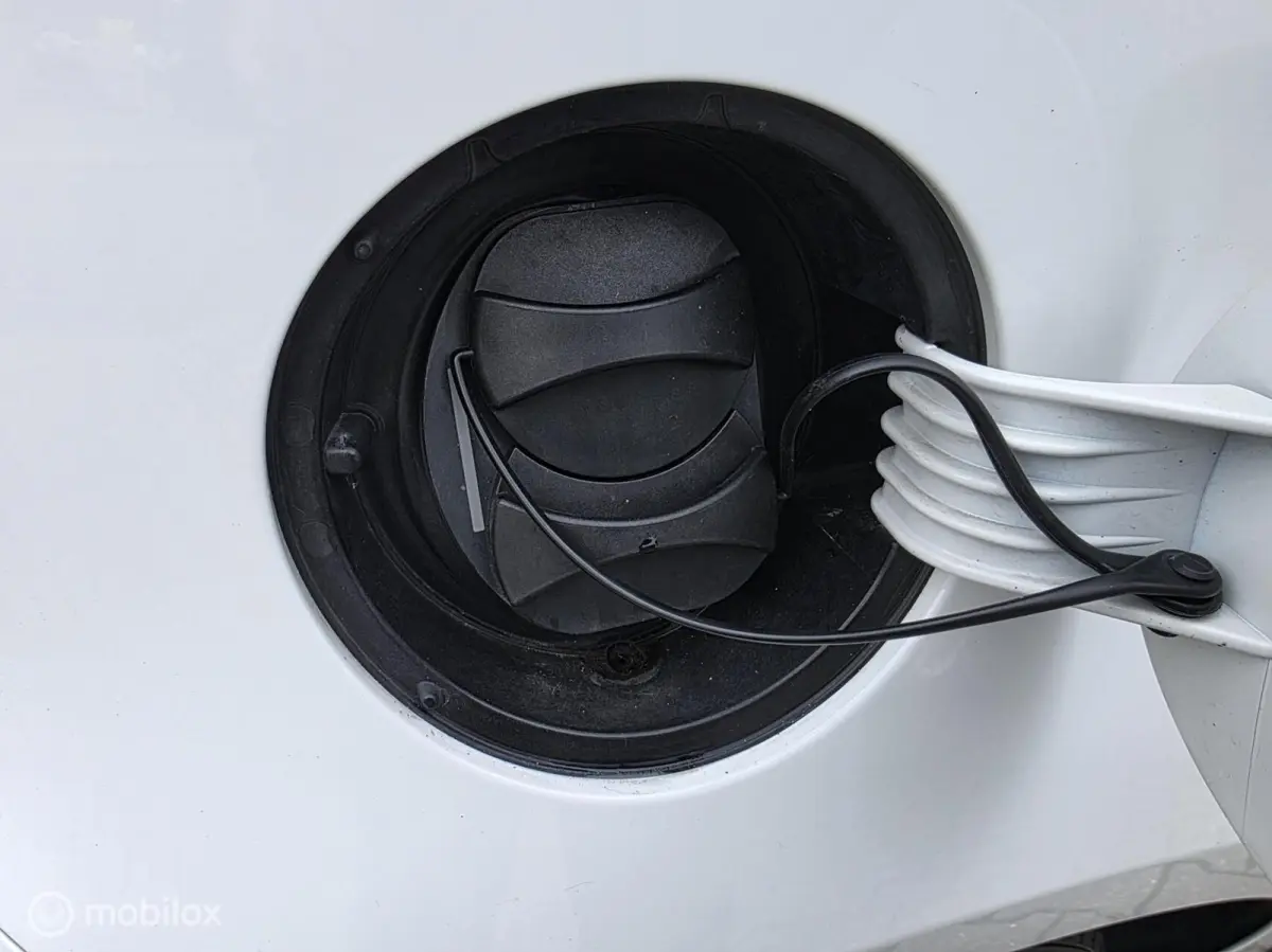 / VOL opties /36.8KW accu / 1e eigenaar