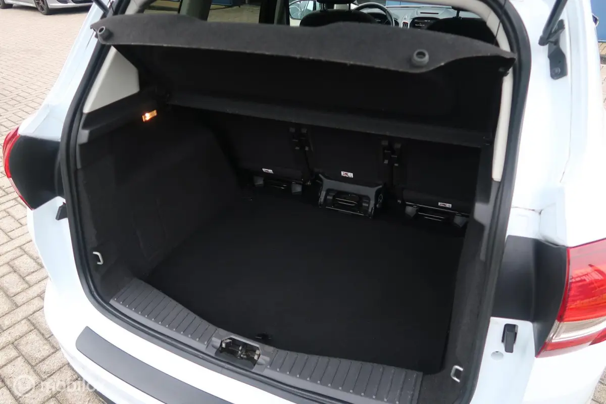 1.0 Titanium CLIMA, STOELVERWARM, CRUISECONTROL