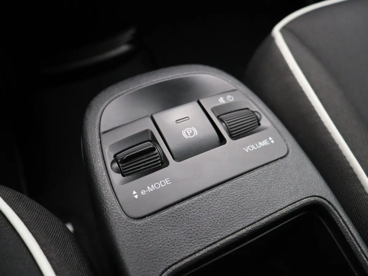 Icon 42 kWh | 320km WLTP | 85KWh Snelladen | Cruise control | Apple Carplay | Android Auto |