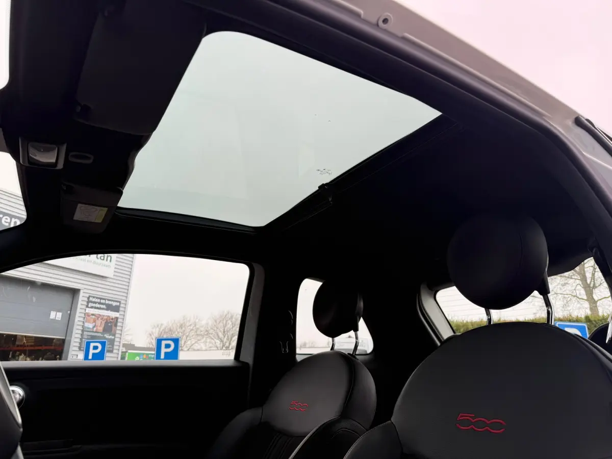 1.0 Hybrid Sport - Navi Apple/Android - Panoramadak - Climate - Org.NL