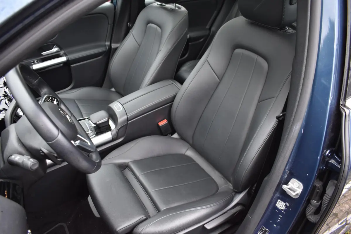 250 Luxury Line 71 kWh | Stoelverwarming | Pano | Leder |