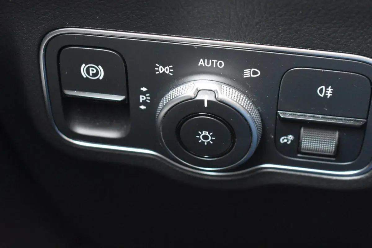 250 Luxury Line 71 kWh | Stoelverwarming | Pano | Leder |