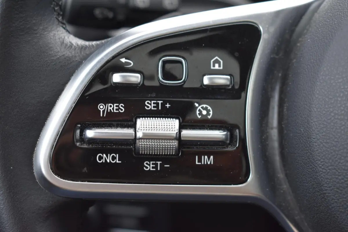 250 Luxury Line 71 kWh | Stoelverwarming | Pano | Leder |
