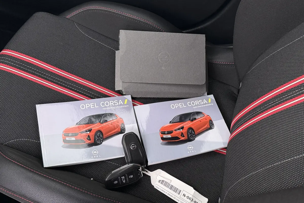 GS Line 50 kWh (SOH 92%) Warmtepomp Carplay Camera