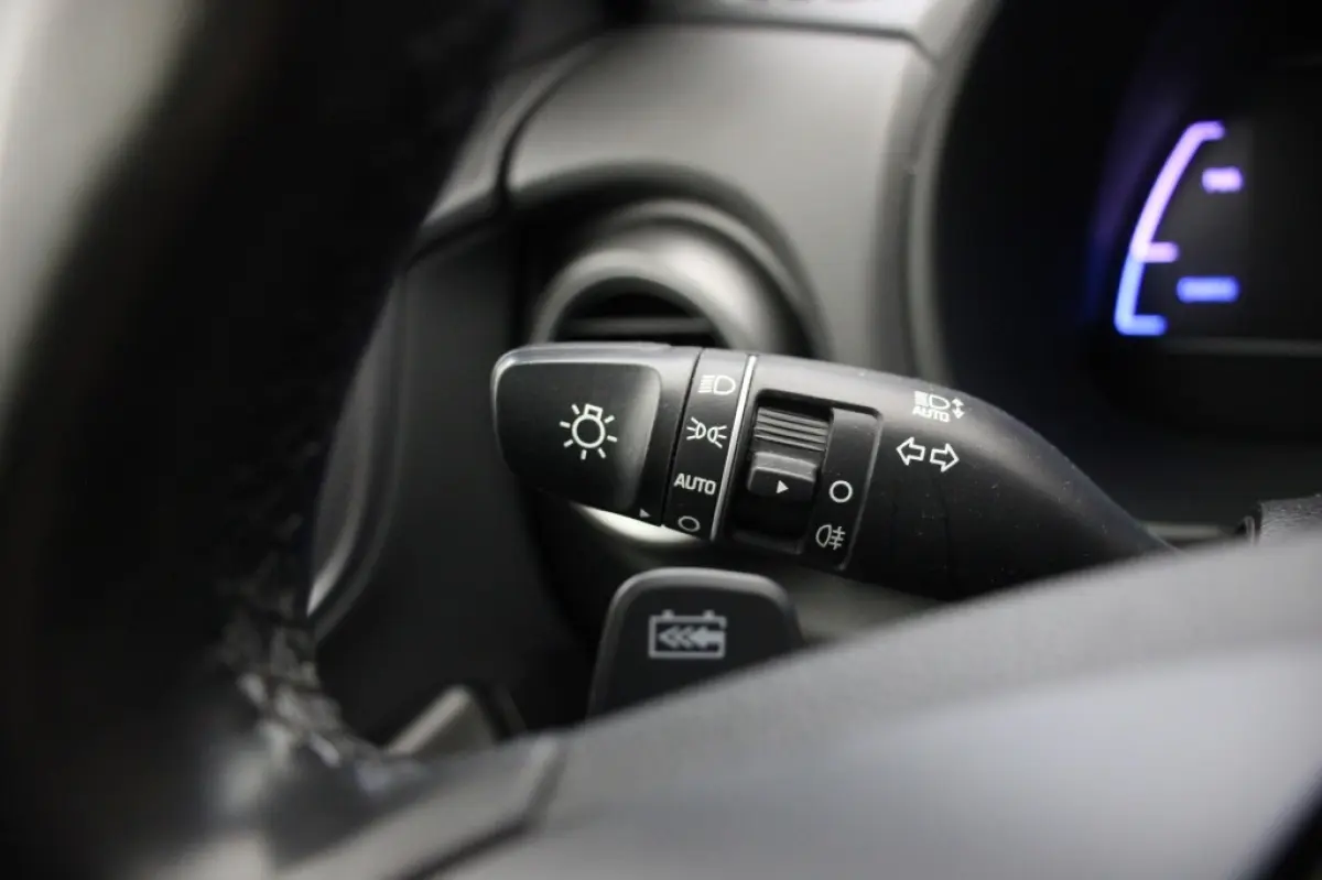 Premium 64 kWh - Carplay, Camera, Stoelverw, Half Leer, SOH 96,3%