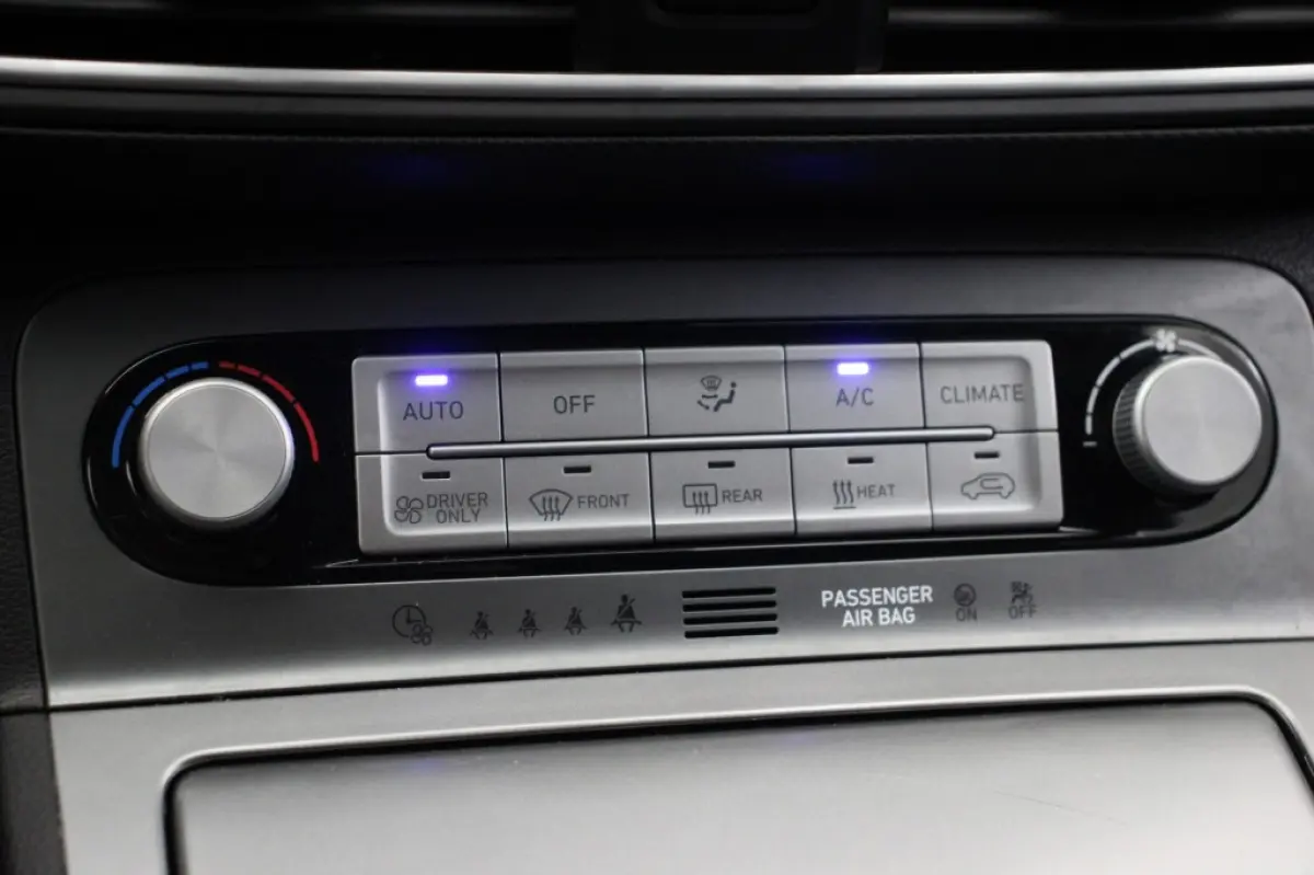 Premium 64 kWh - Carplay, Camera, Stoelverw, Half Leer, SOH 96,3%