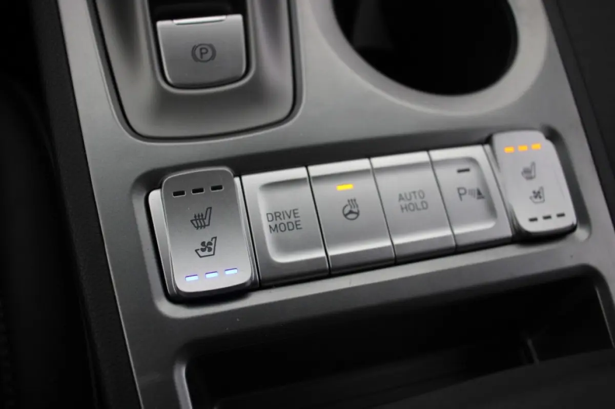 Premium 64 kWh - Carplay, Camera, Stoelverw, Half Leer, SOH 96,3%