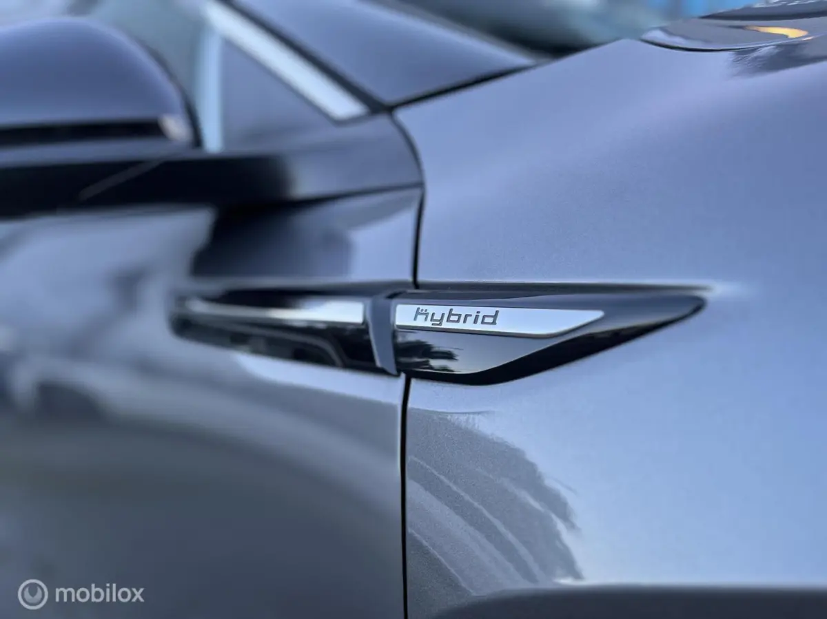 1.6 Plug-in Hybrid 225 Shine ACC Keyless All-in