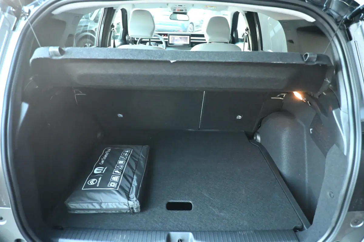 Max 113pk Extended Range 54 kWh DEMO-DEAL! Tot 8 jaar Garantie! | Navi by App | Full Led | Elektr. Ramen Voor & Achter | Cruise control | DAB | Comfort stoelen |