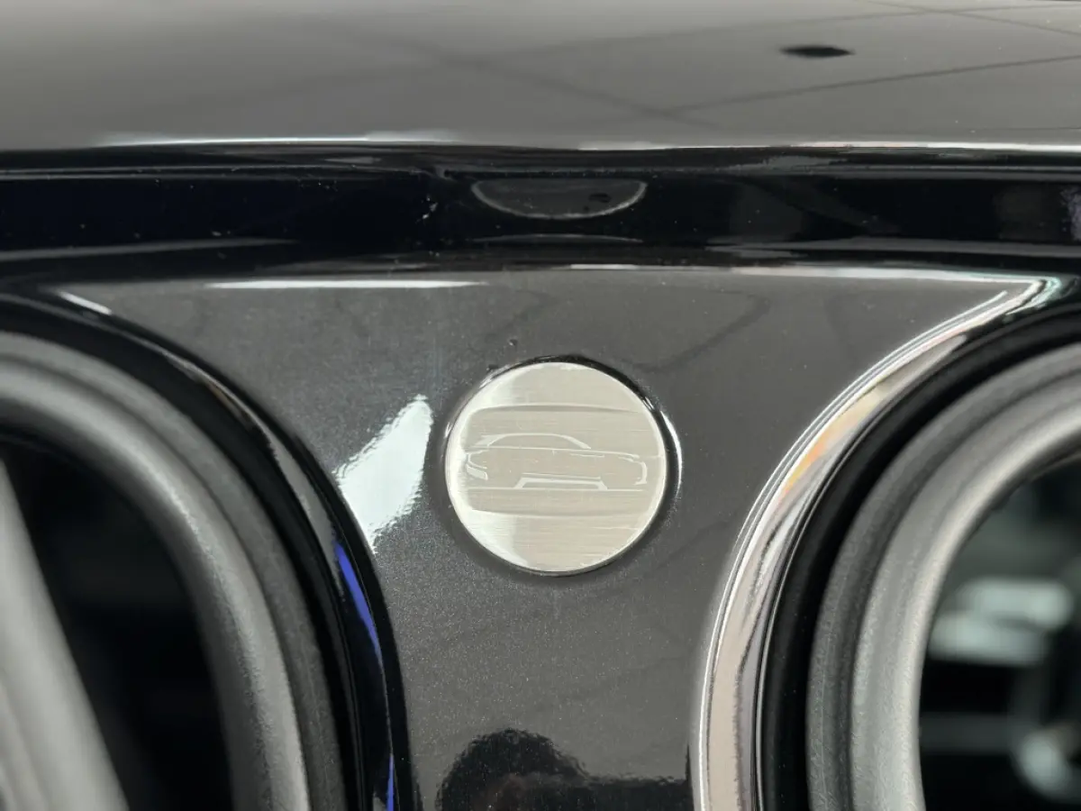 P300 R-Dynamic HSE Vol Opties