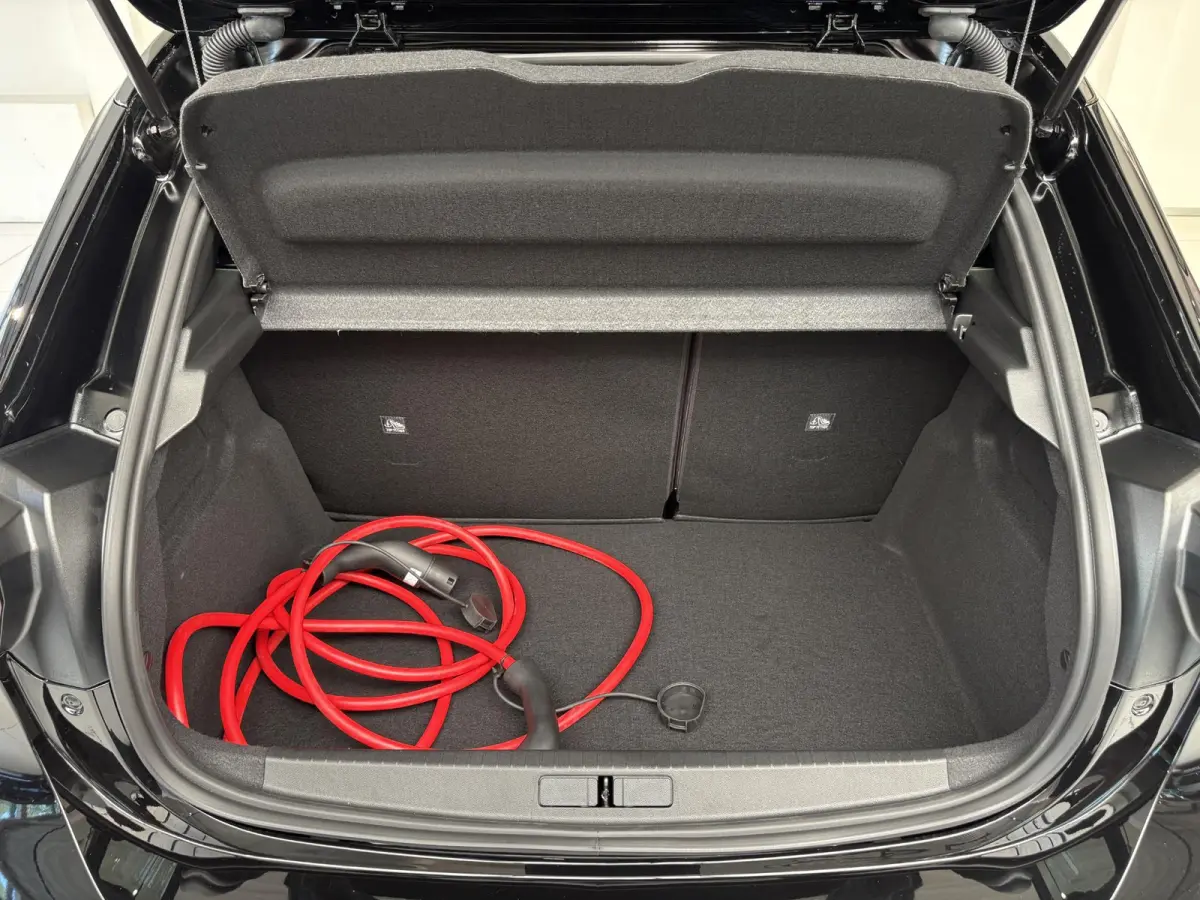 Electric Long Range Business Edition 51 kWh Leverbaar per november