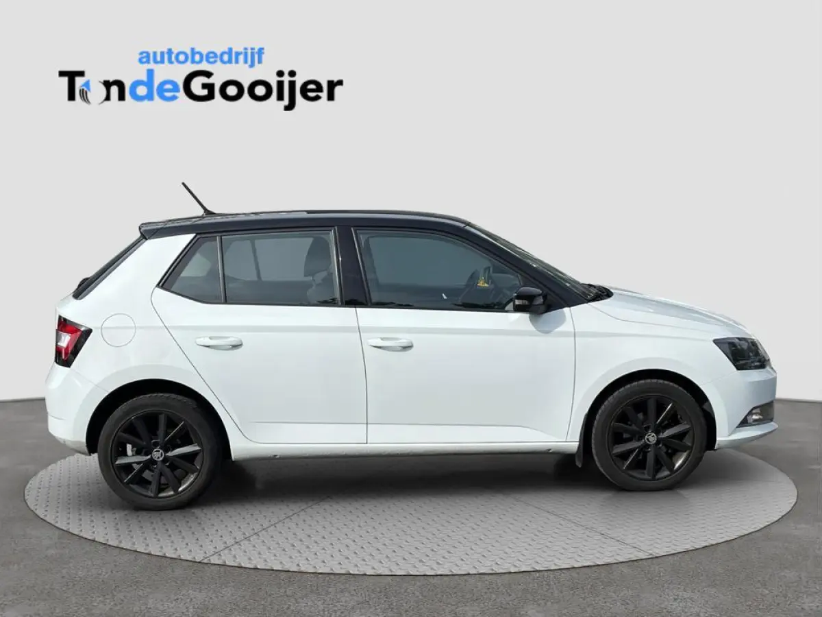 1.2 TSi Color Concept | CLIMATE C. | STOELVERW. | TREKHAAK | SMARTLINK |