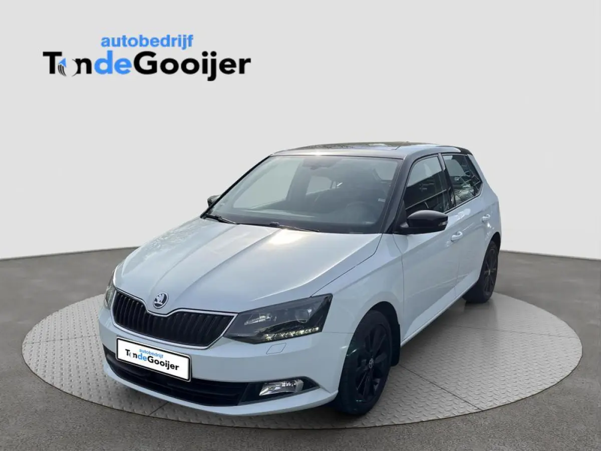 1.2 TSi Color Concept | CLIMATE C. | STOELVERW. | TREKHAAK | SMARTLINK |