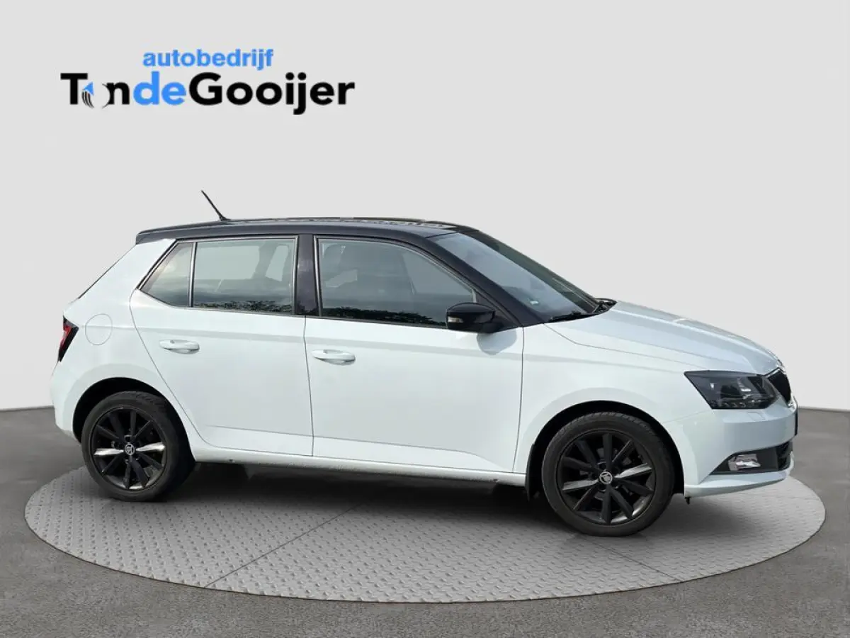 1.2 TSi Color Concept | CLIMATE C. | STOELVERW. | TREKHAAK | SMARTLINK |
