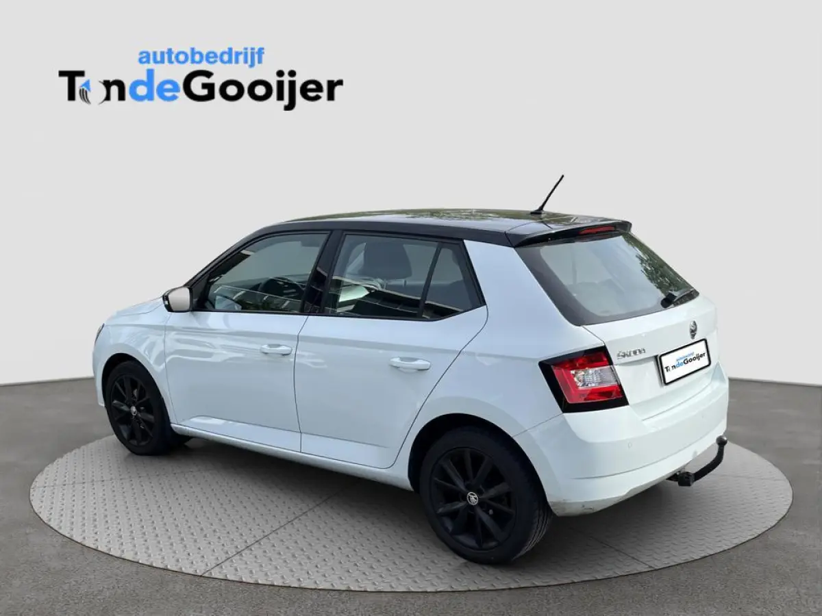 1.2 TSi Color Concept | CLIMATE C. | STOELVERW. | TREKHAAK | SMARTLINK |