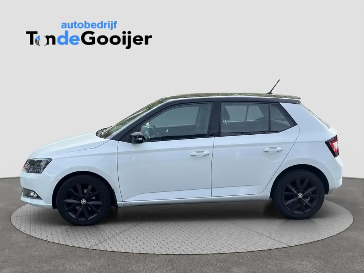 1.2 TSi Color Concept | CLIMATE C. | STOELVERW. | TREKHAAK | SMARTLINK |