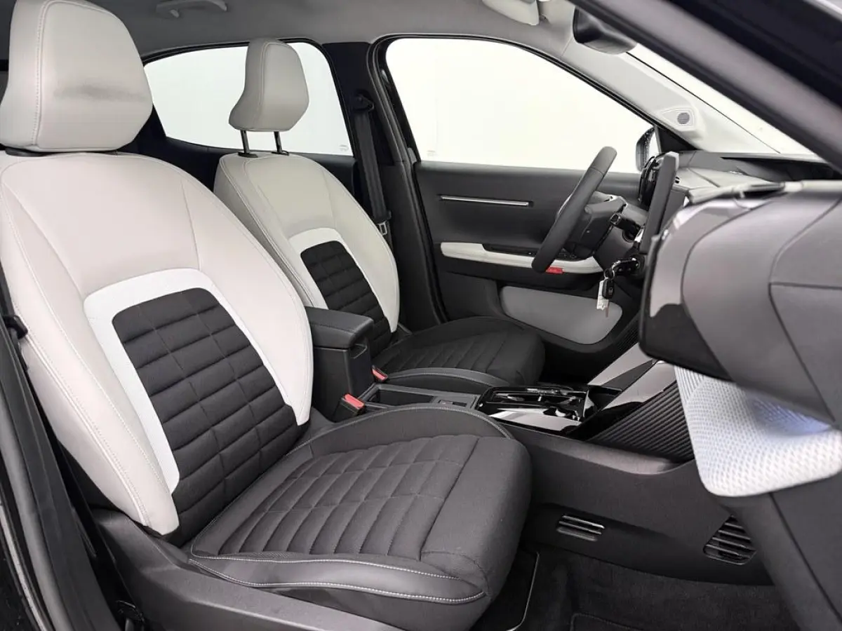 Max 113pk 44 kWh 3 fase H.Leder/4S.Banden/Nav/Ecc /Led/Pdc/CarPlay