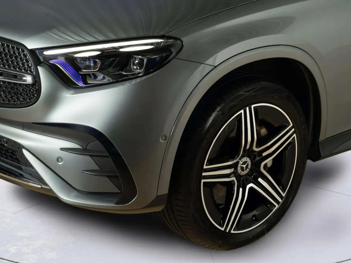 4MATIC Business Solution AMG | Panorama dak