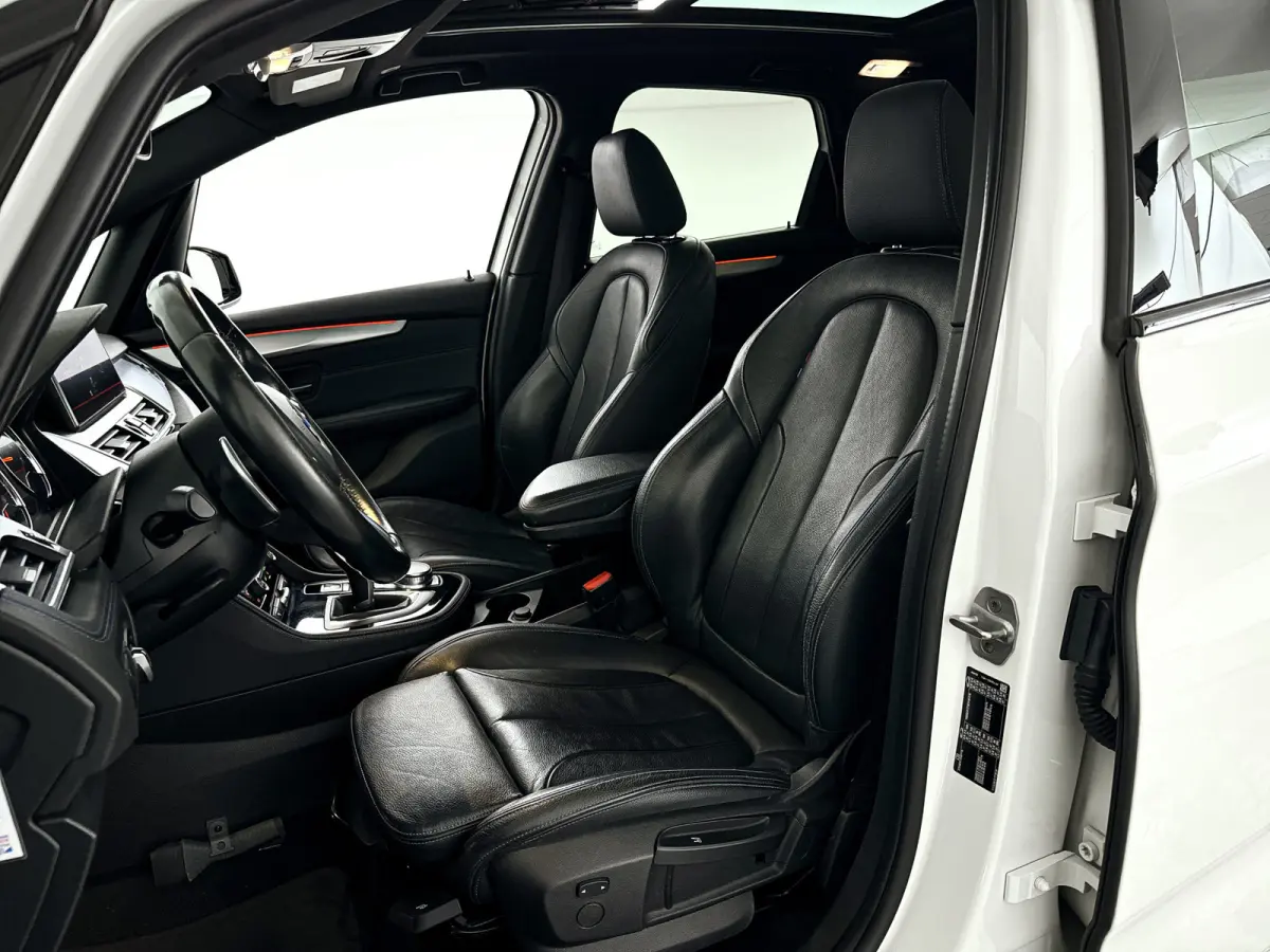 220i High Executive | Parkeercamera | Keyless | Head-up display | Stoel- en stuurverwarming