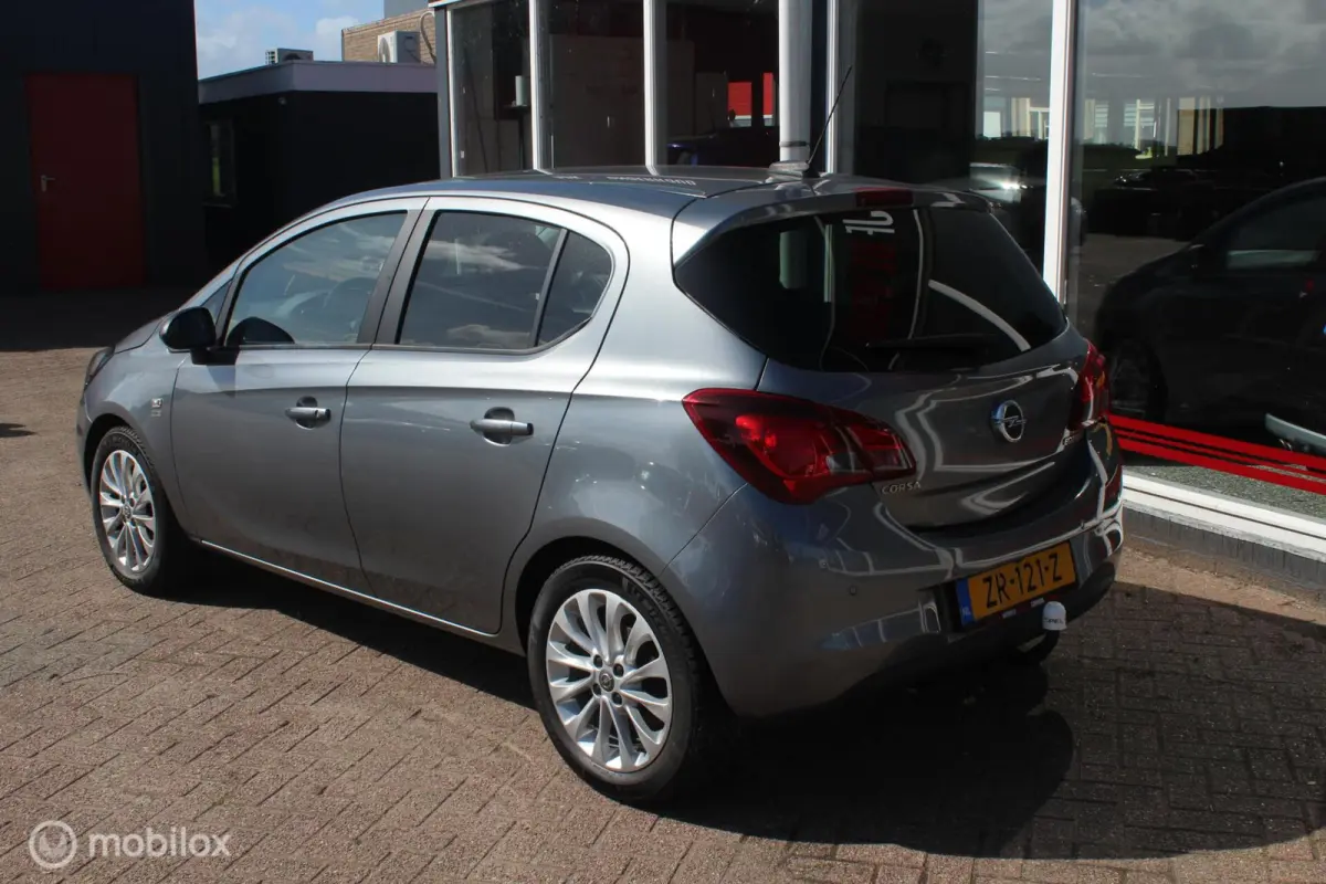 1.0 Turbo 120 Jaar Edition Clima/Camera/Winterpakket