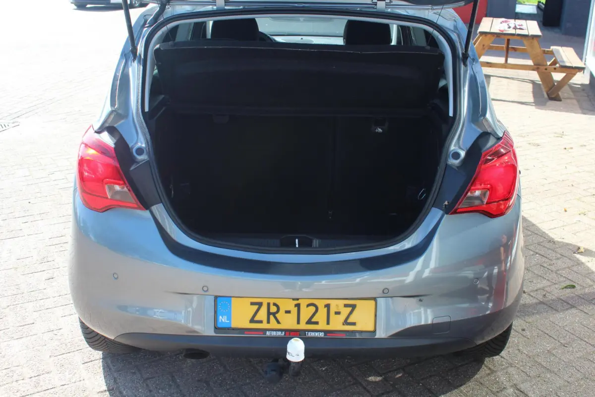 1.0 Turbo 120 Jaar Edition Clima/Camera/Winterpakket