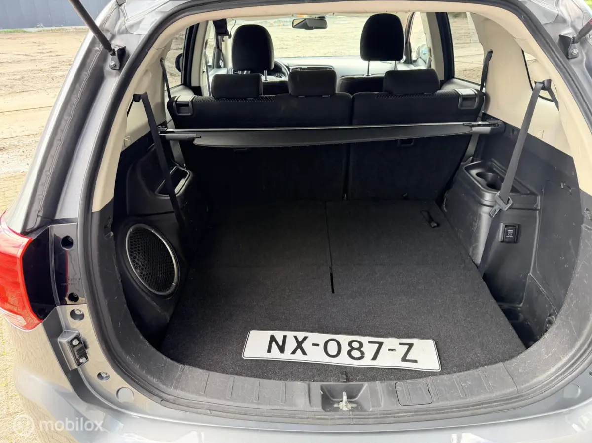 2.0 Executive Edition|7 persoons | trekhaak| carplay|