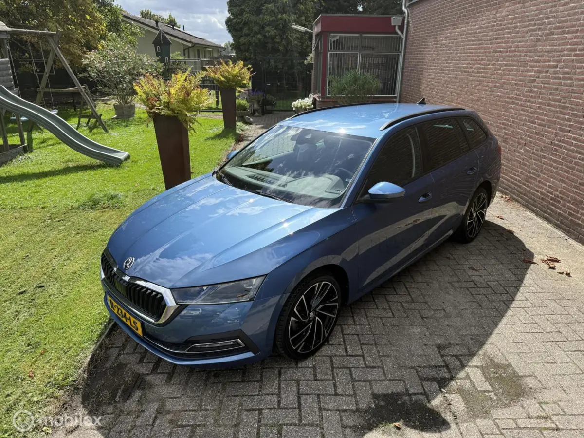 1.5 e-TSI Business Edition aut