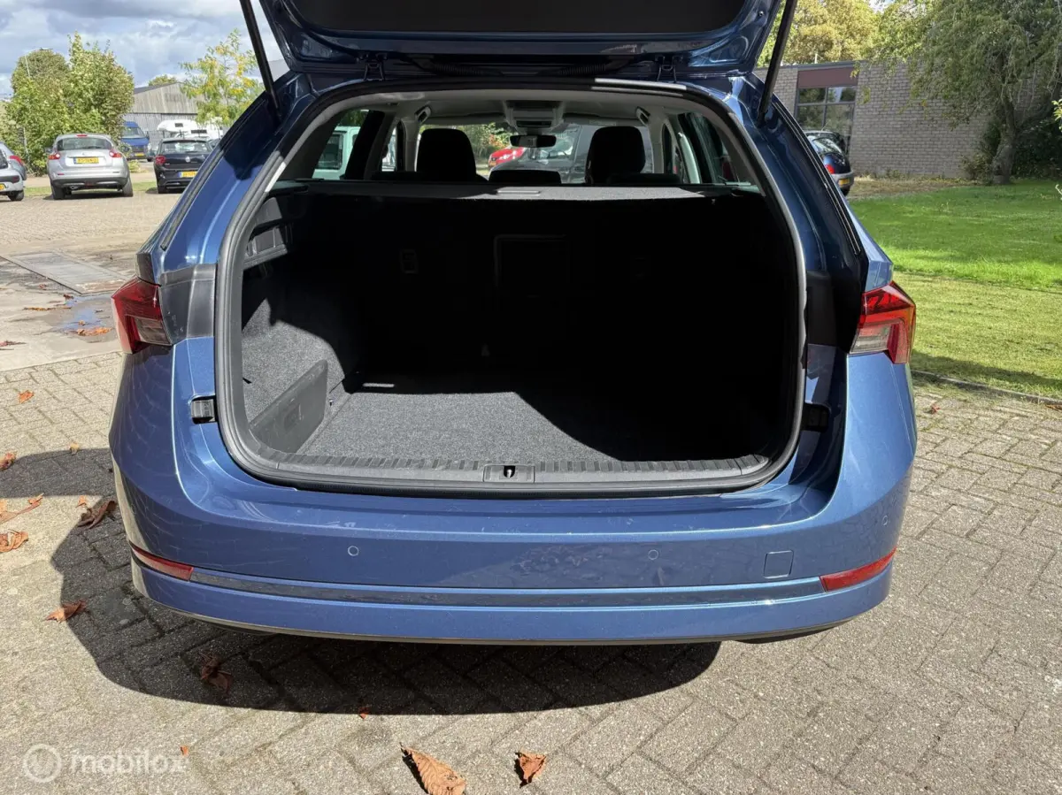 1.5 e-TSI Business Edition aut
