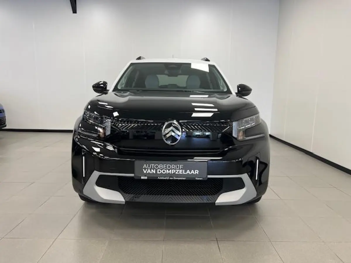 Max 113pk Extended Range 54 kWh Climate control / wit dak / Navi / Camera /